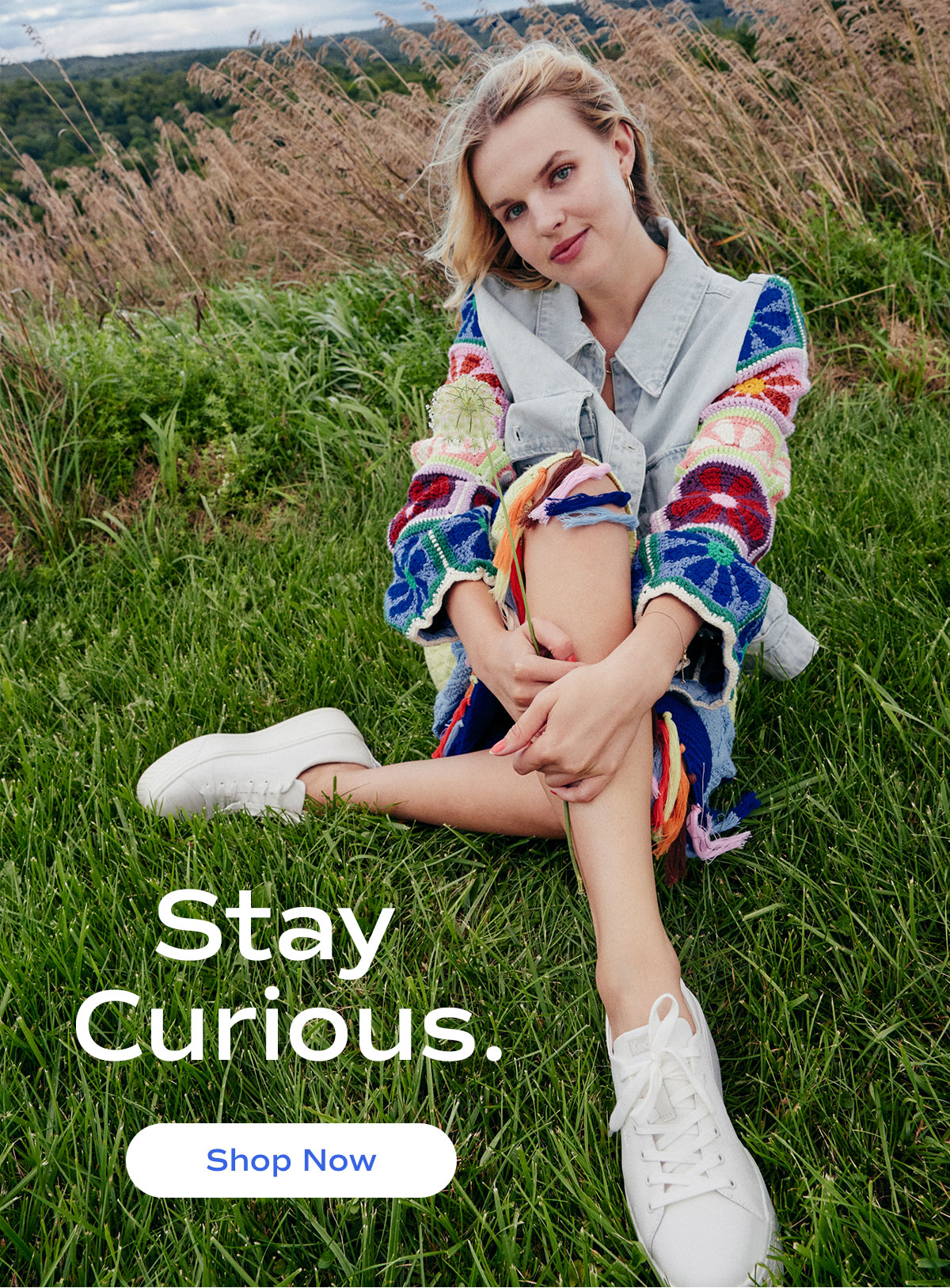Stay Curious. | Shop Now